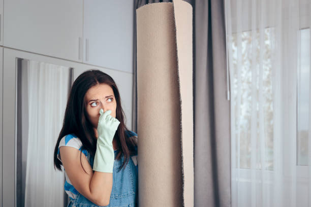 Best Mold Prevention Services  in Elgin, SC